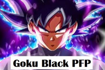 Goku Black PFP